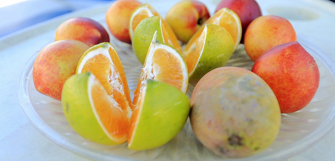 6.4米運(yùn)動快艇 6.4米運(yùn)動快艇